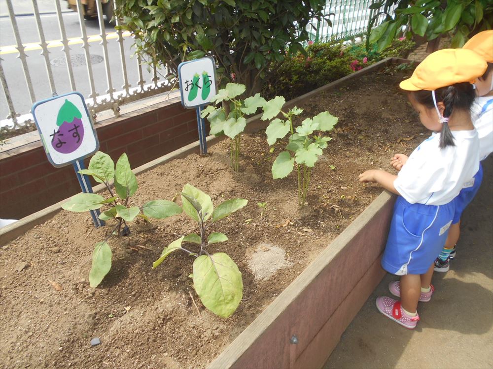 園庭にも 清瀬富士見幼稚園